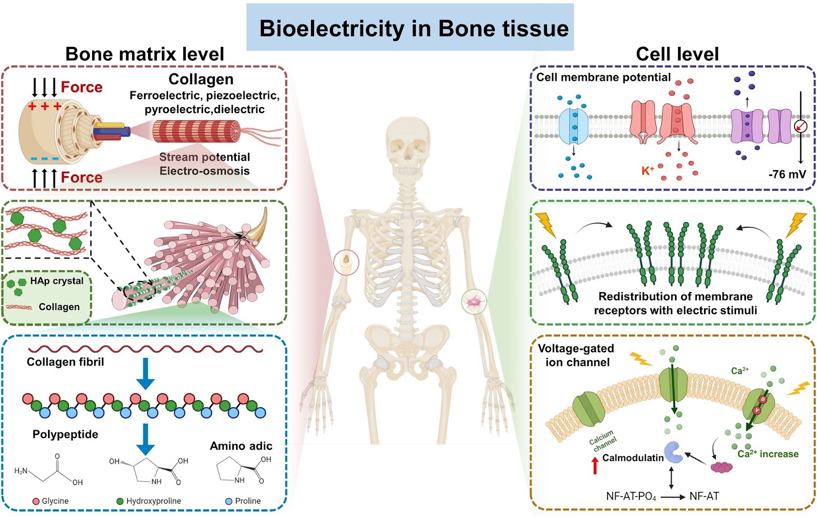 Unleashing the Potential of Electroactive Hybrid Biomaterials and Self-Powered Systems for Bone Therapeutics