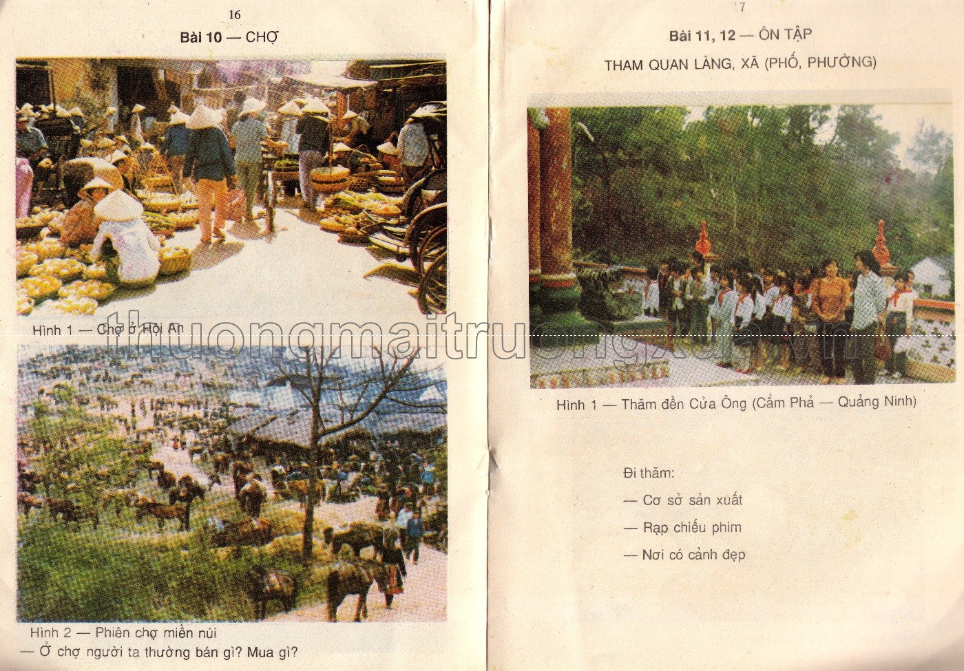 Tự nhiên và xã hội 1 (1993) - Trang 59