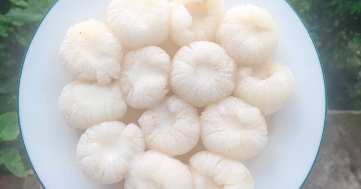 Vải elsa ❄️