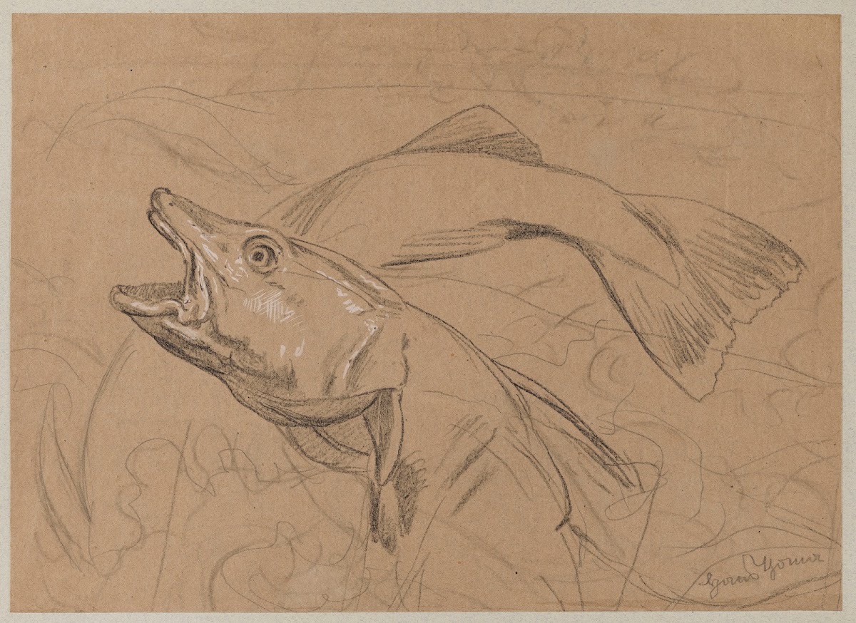 Study of Fish 1879