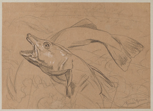 Study of Fish 1879