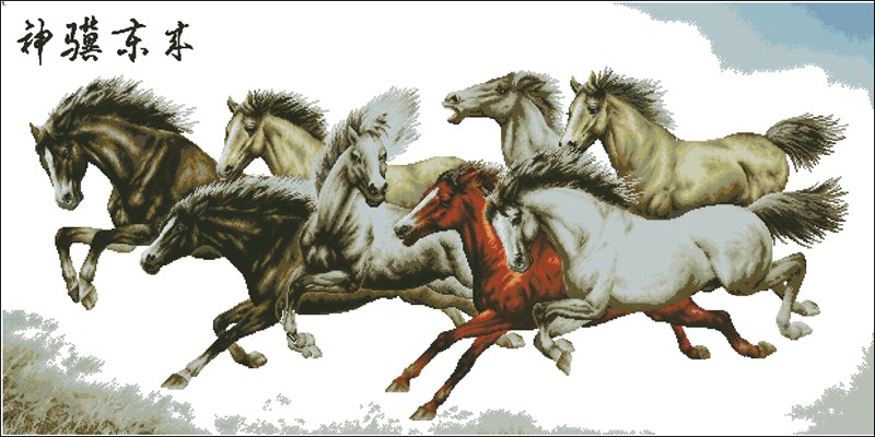 CMP 400951 Pattern