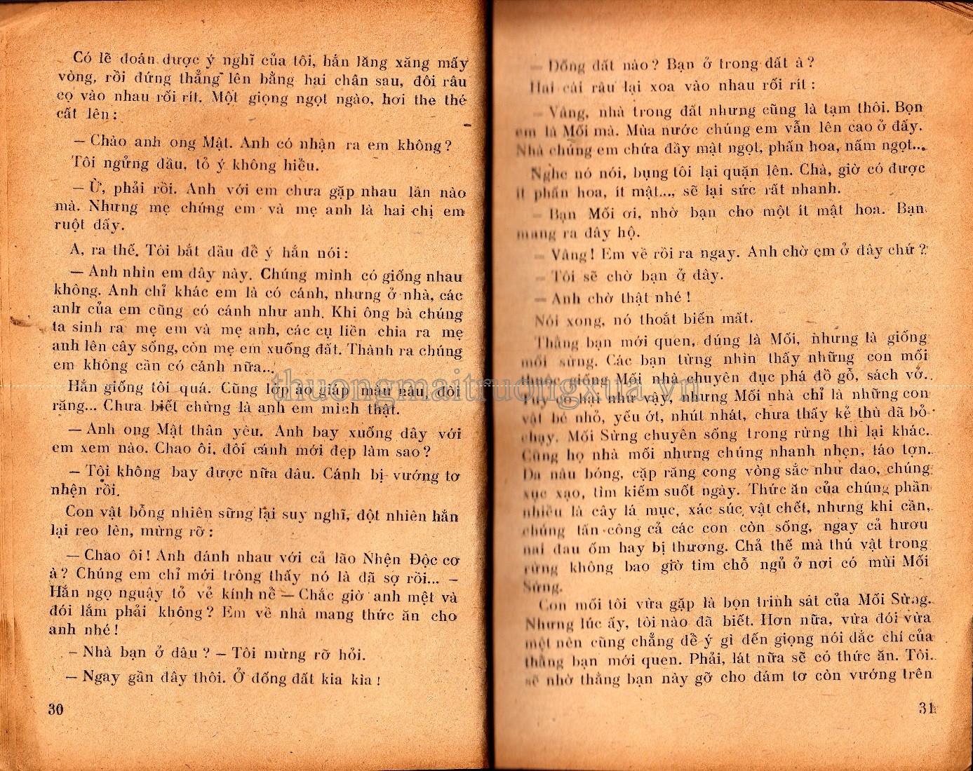 Cuộc phiêu lưu kì lạ của ong vàng (1981) - Trang 15