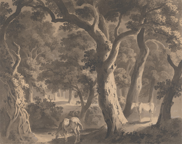 Wychwood Forest 1806