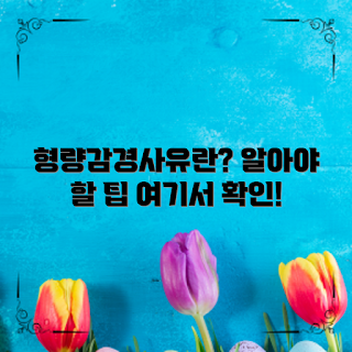 형량감경사유, 형량 감경, 법률 초보자, 형법 주요 사실, 형량 이해하기