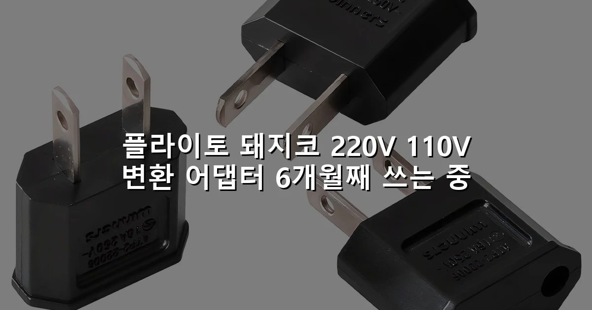 플라이토 돼지코 220V 110V 변환 어댑터 6개월째 쓰는 중