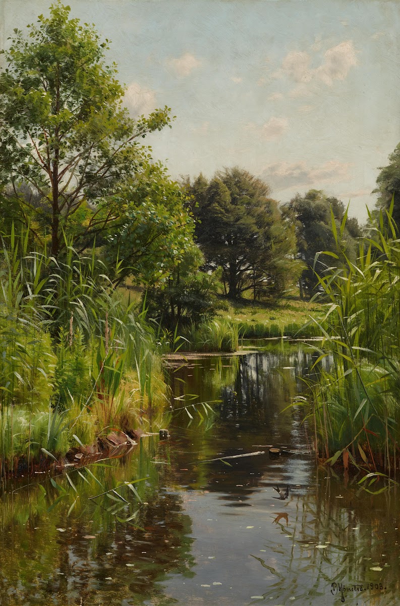 Schilf im See 1903