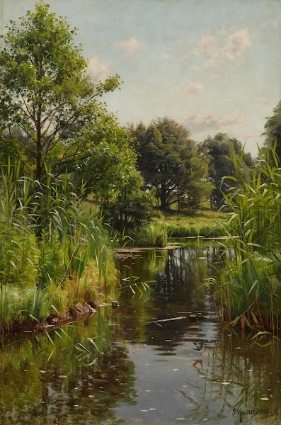 Schilf im See 1903