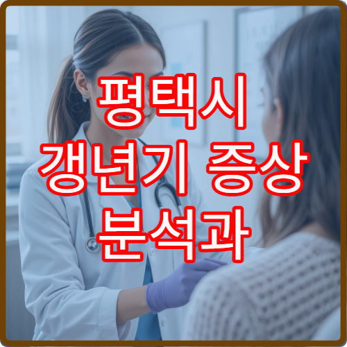 평택시 갱년기 증상 분석과 여성 호르몬 균형 상담 가능한 전문 병원