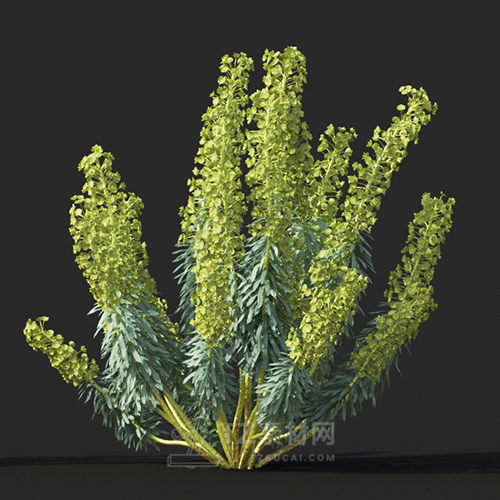 Maxtree - Plant Models Vol.60