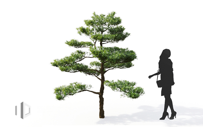 Maxtree - Plant Models Vol.9