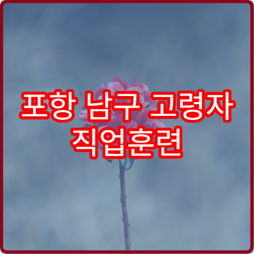 포항 남구 고령자 직업훈련 50대 2026 맞춤 프로그램