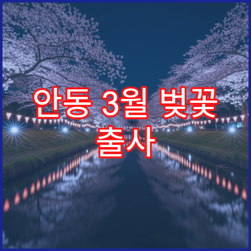 안동 3월 벚꽃 출사 사진작가 추천 스폿 새벽 6시 팁