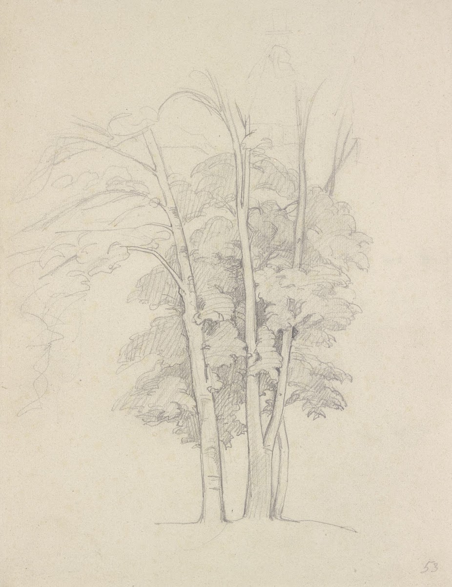 Three trees 1853