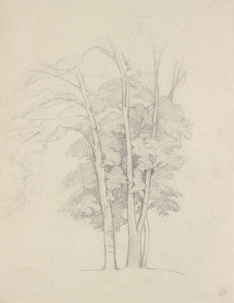 Three trees 1853