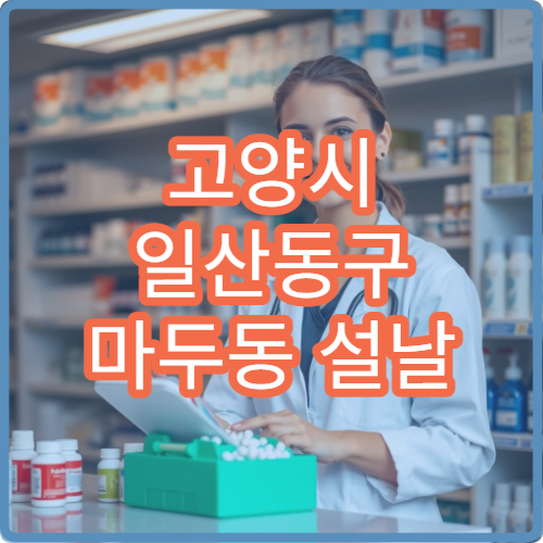 고양시 일산동구 마두동 설날 명절 연휴 운영 중인 당직 약국