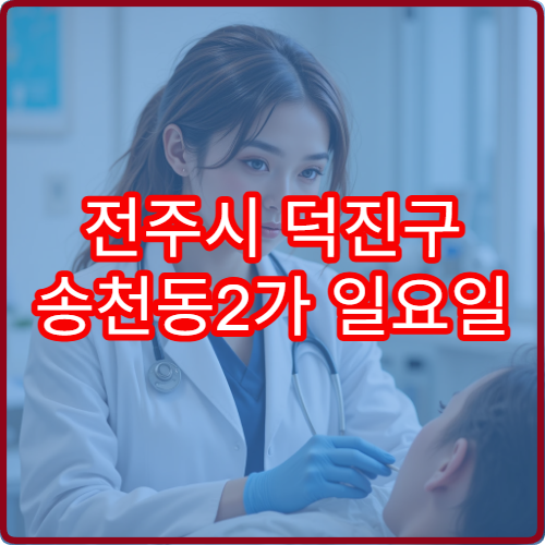 전주시 덕진구 송천동2가 일요일 진료 안과 시력 검사 상담