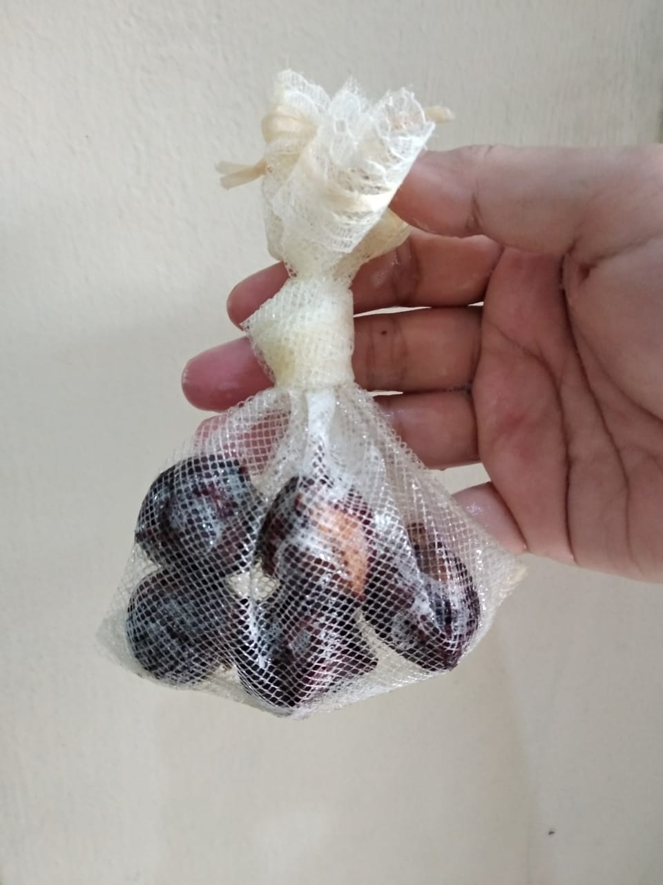 Lerak Soap to do laundry. Lerak natural detergent, Lerak traditional detergent, Traditional detergent to wash batik clothes. CarbonEthics Indonesia