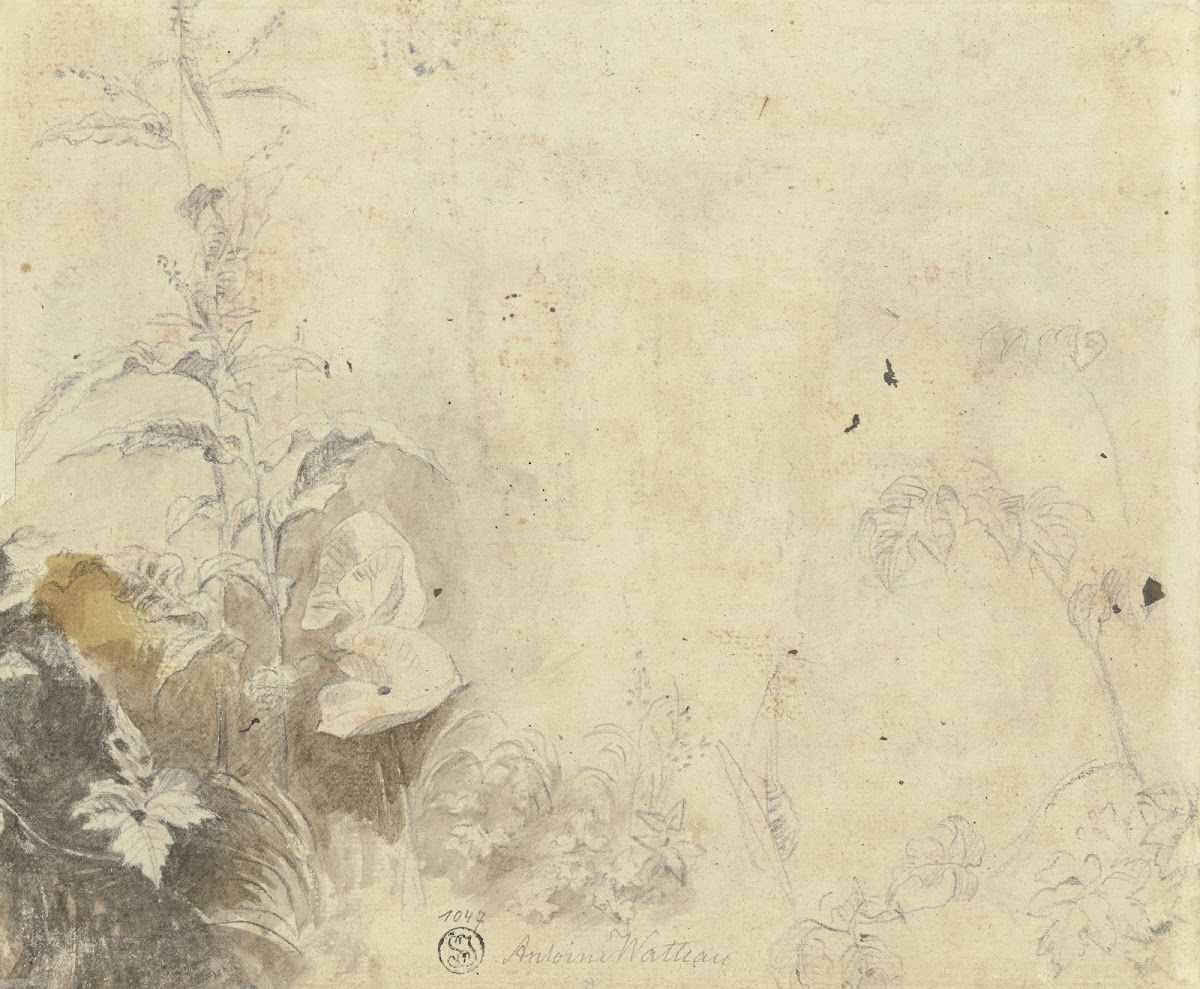 Plants ca 1709 1717