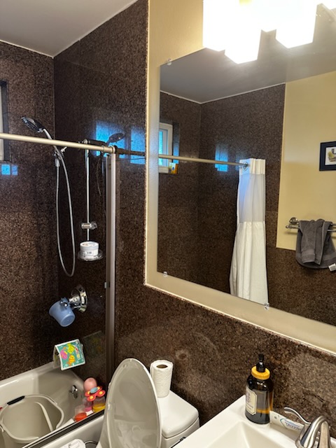 Bathroom shower and vanity area
