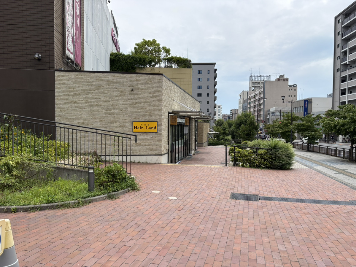 記事に関連するソフネットジャパンの写真