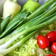 Rửa sạch và thái nhỏ xà lách, trái đậu Hà Lan, cà chua bi, hành lá, ớt. Cho tất cả rau củ ra đĩa. Pha nước sốt: trộn đều giấm gạo, dầu olive, mật ong, lá bạc hà băm với nhau rồi rưới lên phần rau quả.