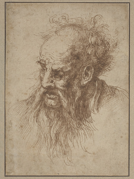 An Elderly Man With A Flowing Beard