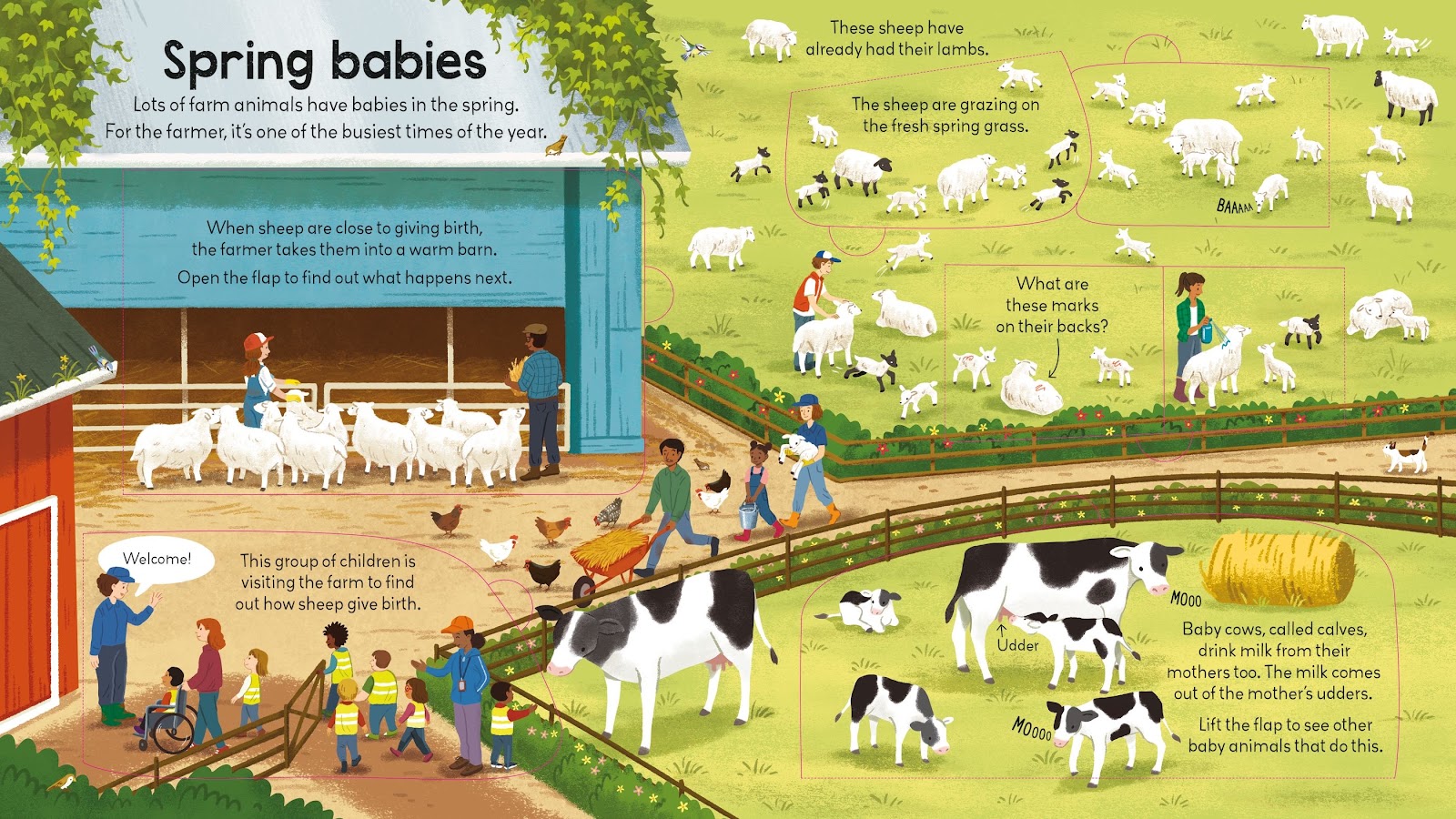 Look Inside a Farm - thumbnail 3