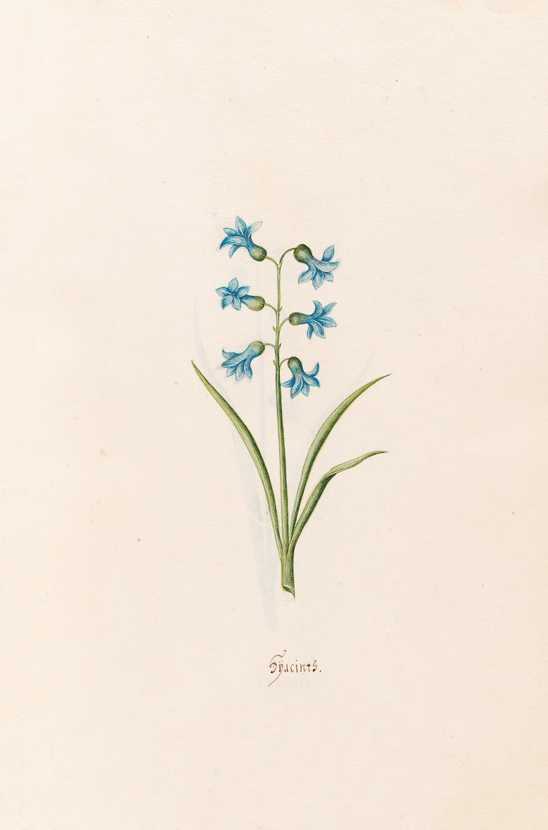 Hÿacints 1692