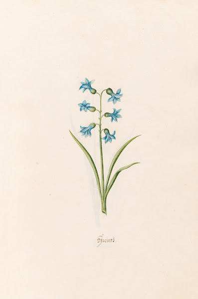 Hÿacints 1692