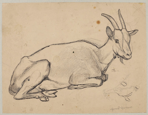 Lying Goat 1891