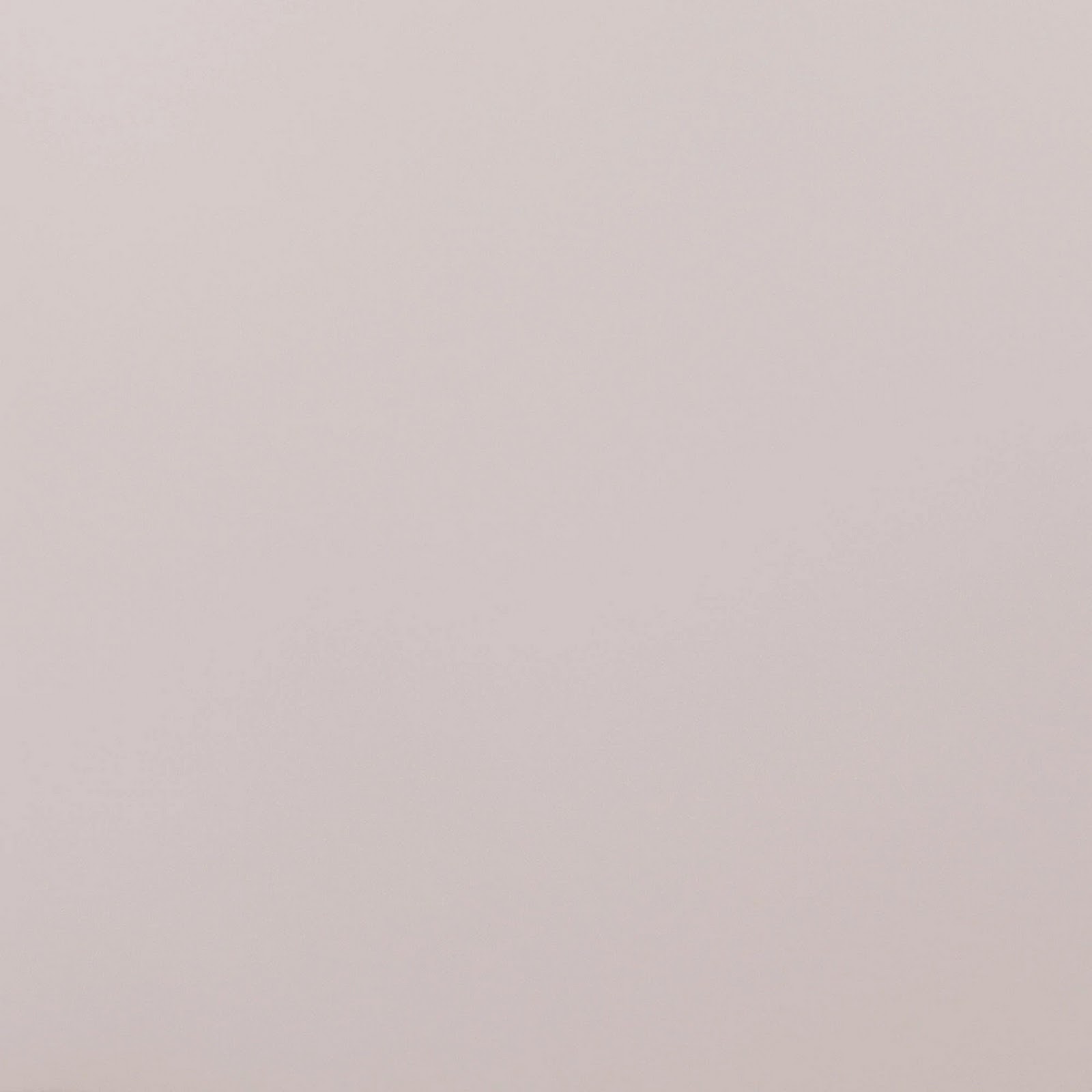 Download Cow, Foggy, Mountain, Livestock iPhone