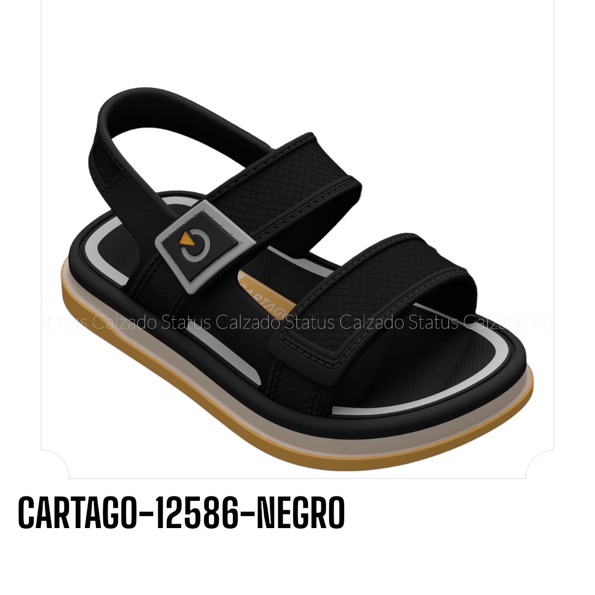 CARTAGO-12586-NEGRO