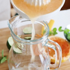 Cho nước ép bưởi vài ca lớn, thêm vào những lát chanh, đá viên và nước soda có ga vào, khuấy đều. Trang trí thêm ít lá bạc hà cho đẹp mắt là có thể dùng.