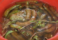 Ngâm me trong nước nóng già (khoảng 80 độ C), sau đó dùng dao gọt bỏ lớp vỏ ngoài.