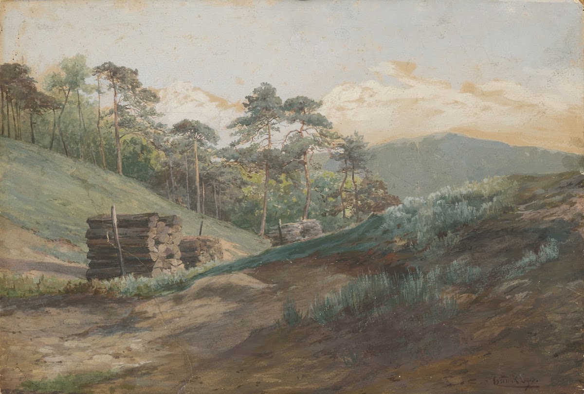Forest Valley with Wood Logs 18941895