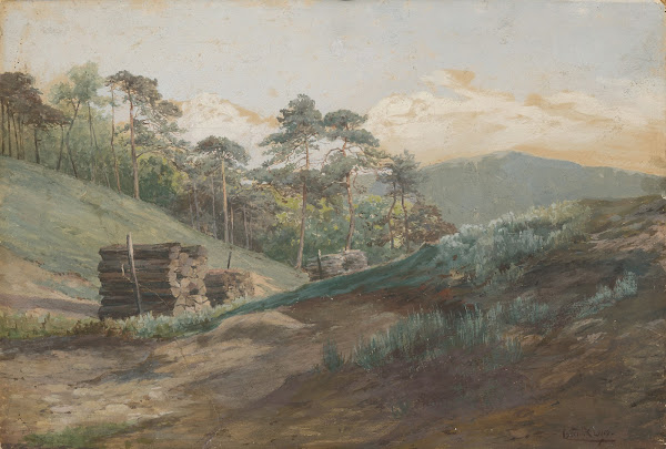 Forest Valley with Wood Logs 18941895