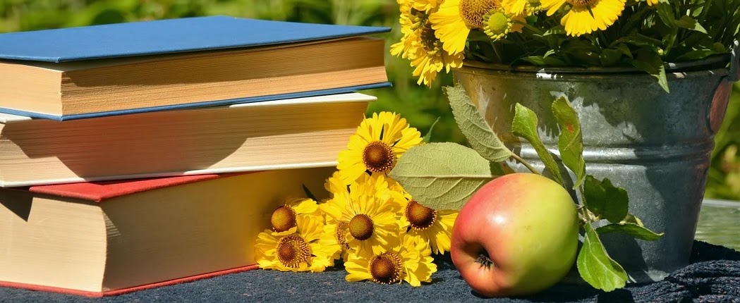 중복 보험 확인 방법과 불필요한 보험 정리법