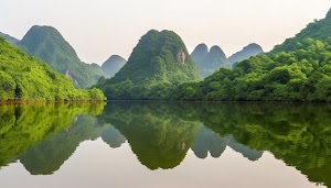 Nature Wallpaper