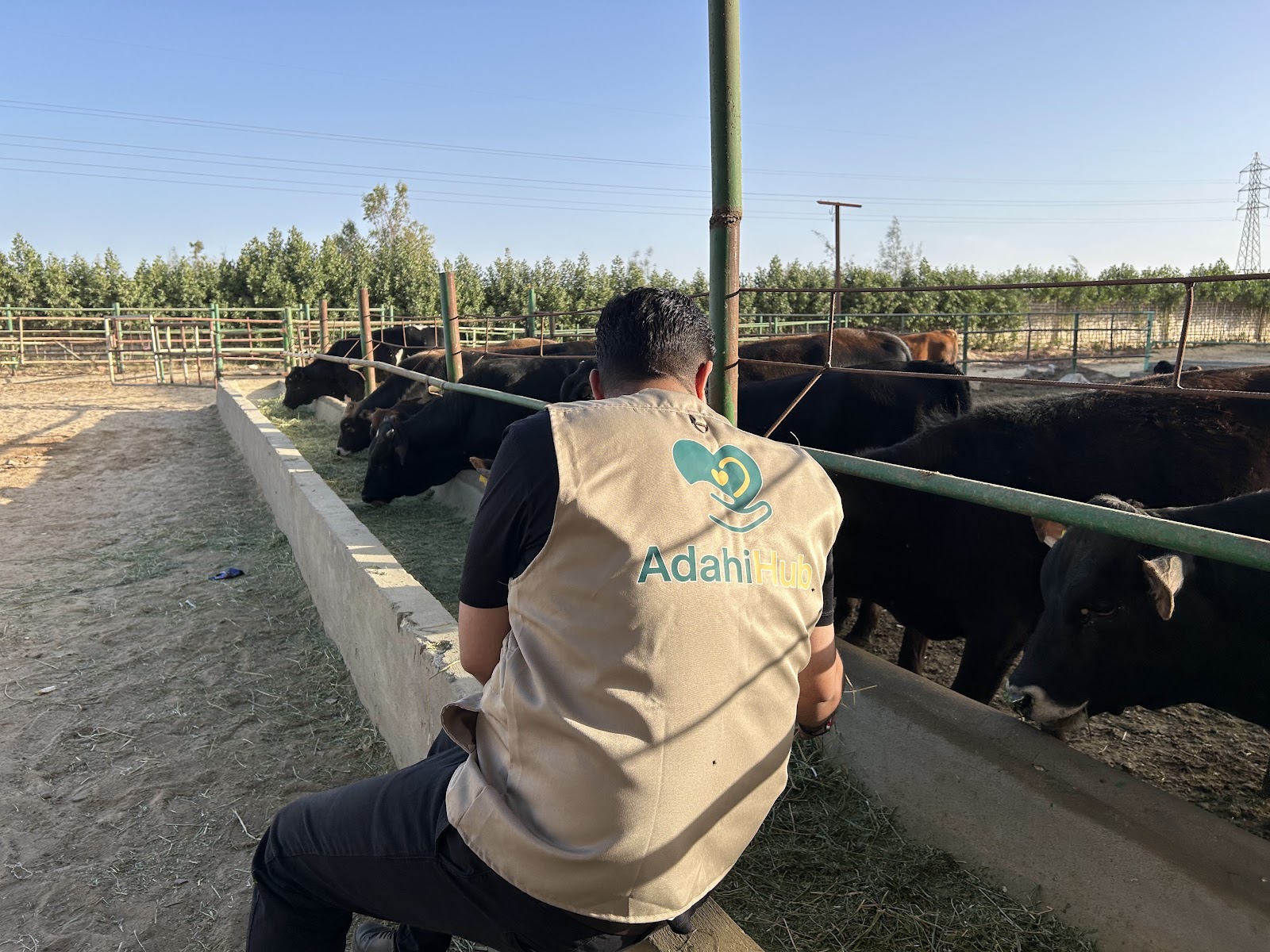 AdahiHub real field photo 1