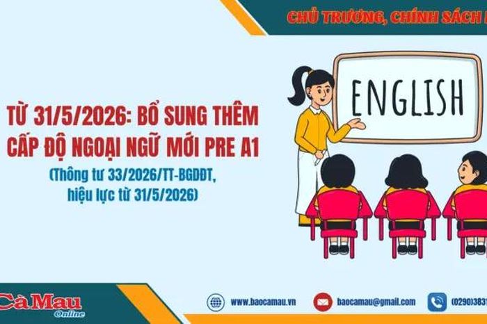 Từ 31/5/2026: Bổ sung thêm cấp độ ngoại ngữ mới Pre A1 - Báo Cà Mau