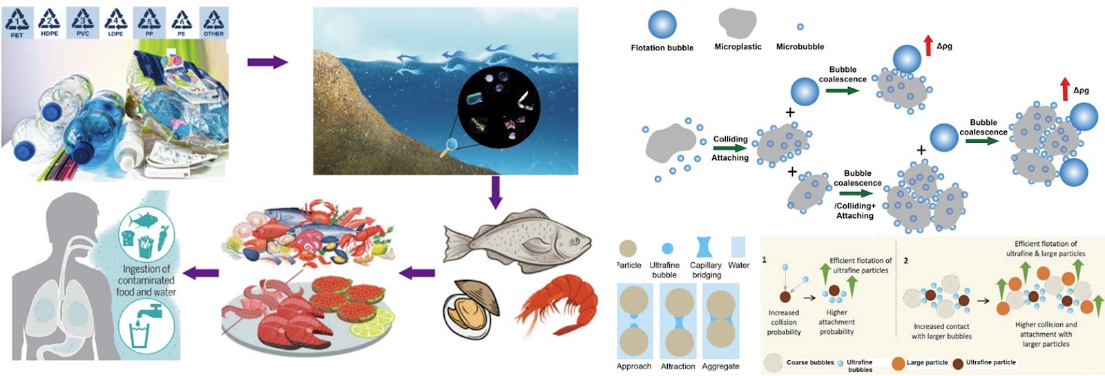 Microbubble separation