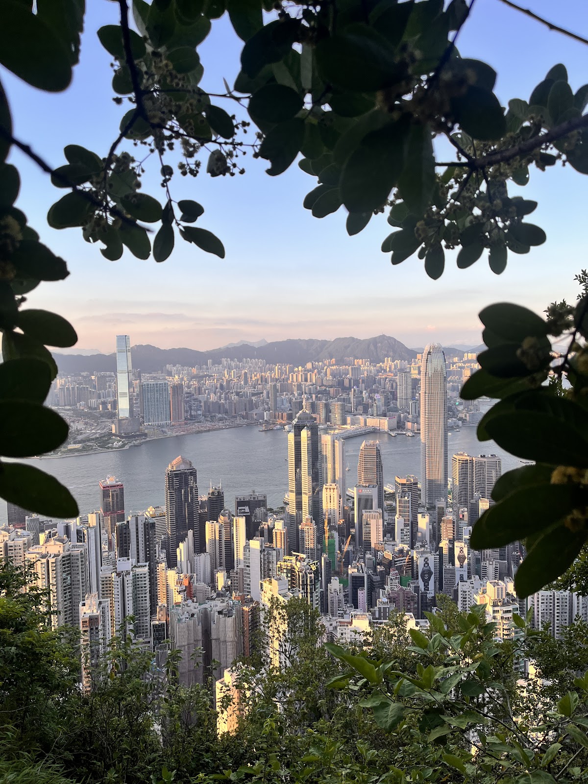 Hong Kong at sunset