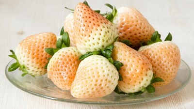white strawberries2