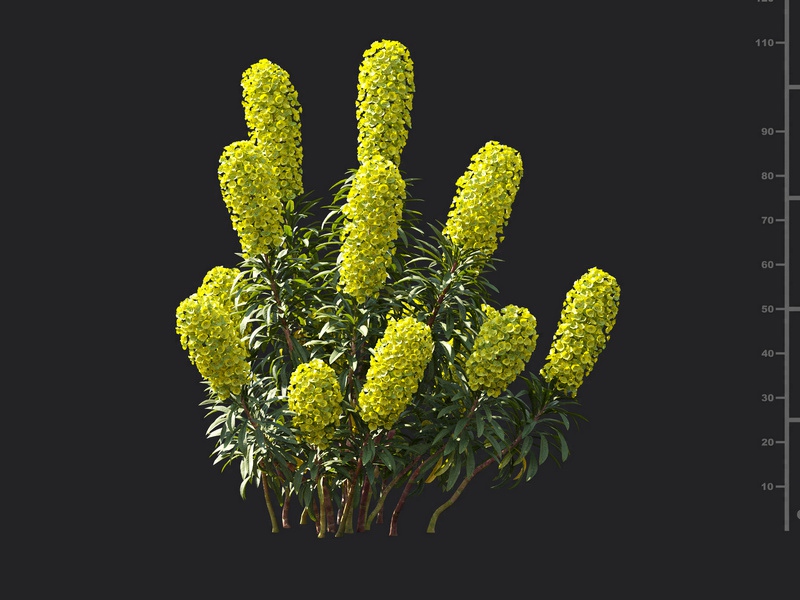 Maxtree - Plant Models Vol.119
