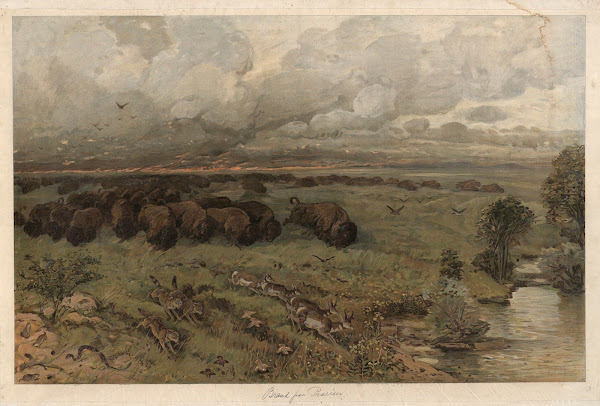 Prairie fire 1920