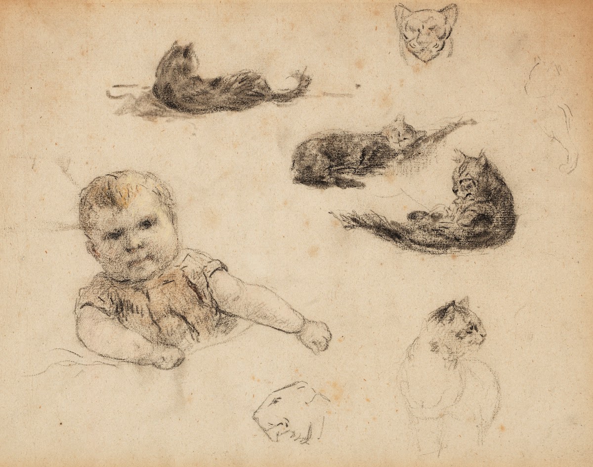 Etudes de chats et denfant