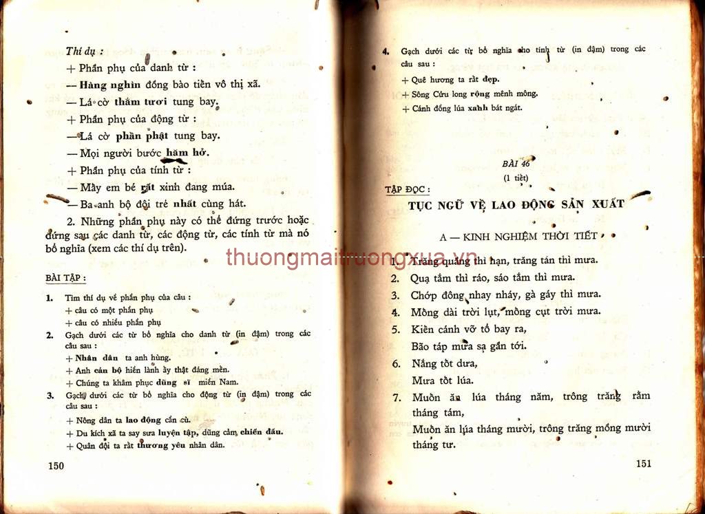 Tâm hồn cao thượng (1952) - Trang 75