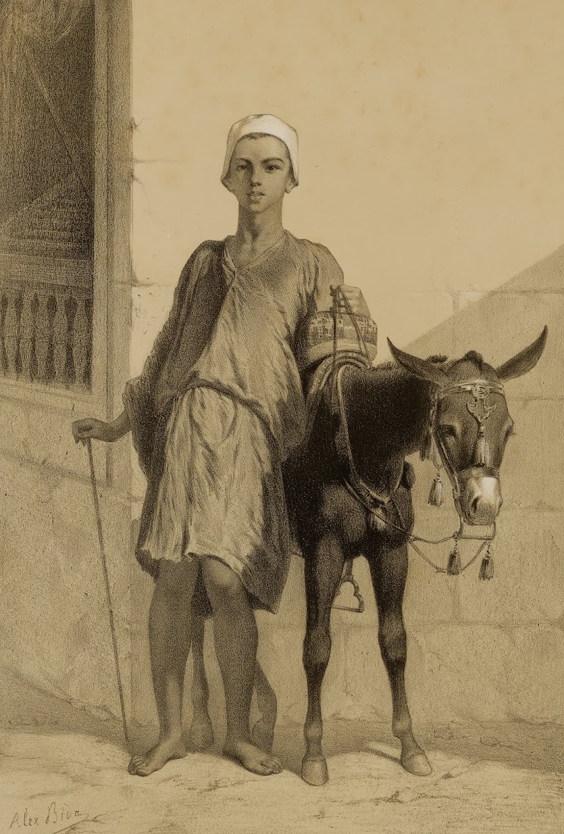 An AssDriver