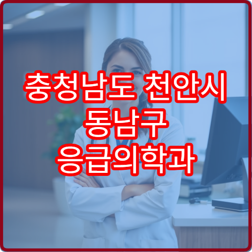 충청남도 천안시 동남구 응급의학과 설날 연휴 24시간 진료 병원 확인